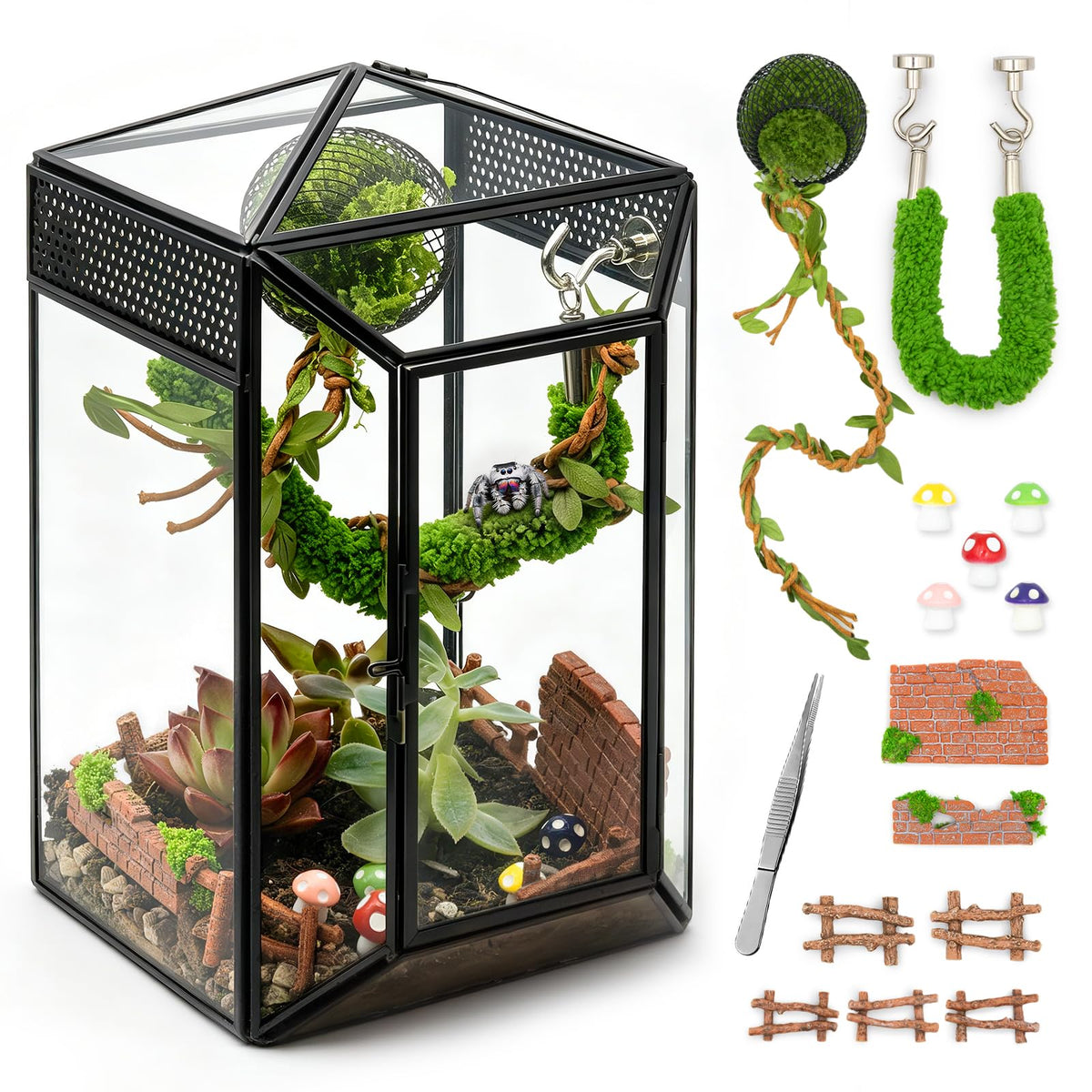 Clioran vue avant du terrarium en verre gothique, esthétique et sécurisée