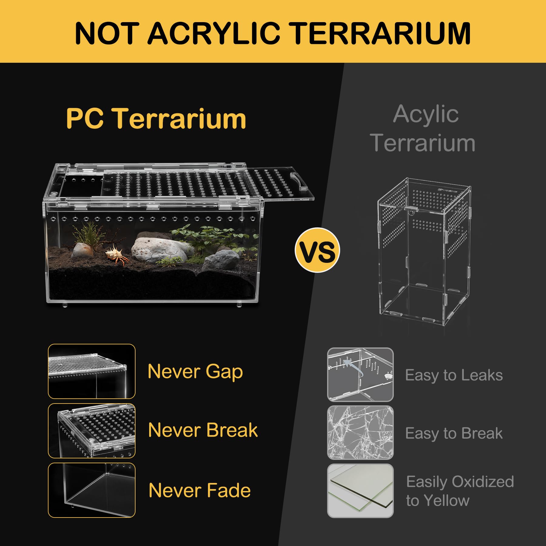Clioran terrarium posé en bureau éducatif illustrant usage pédagogique