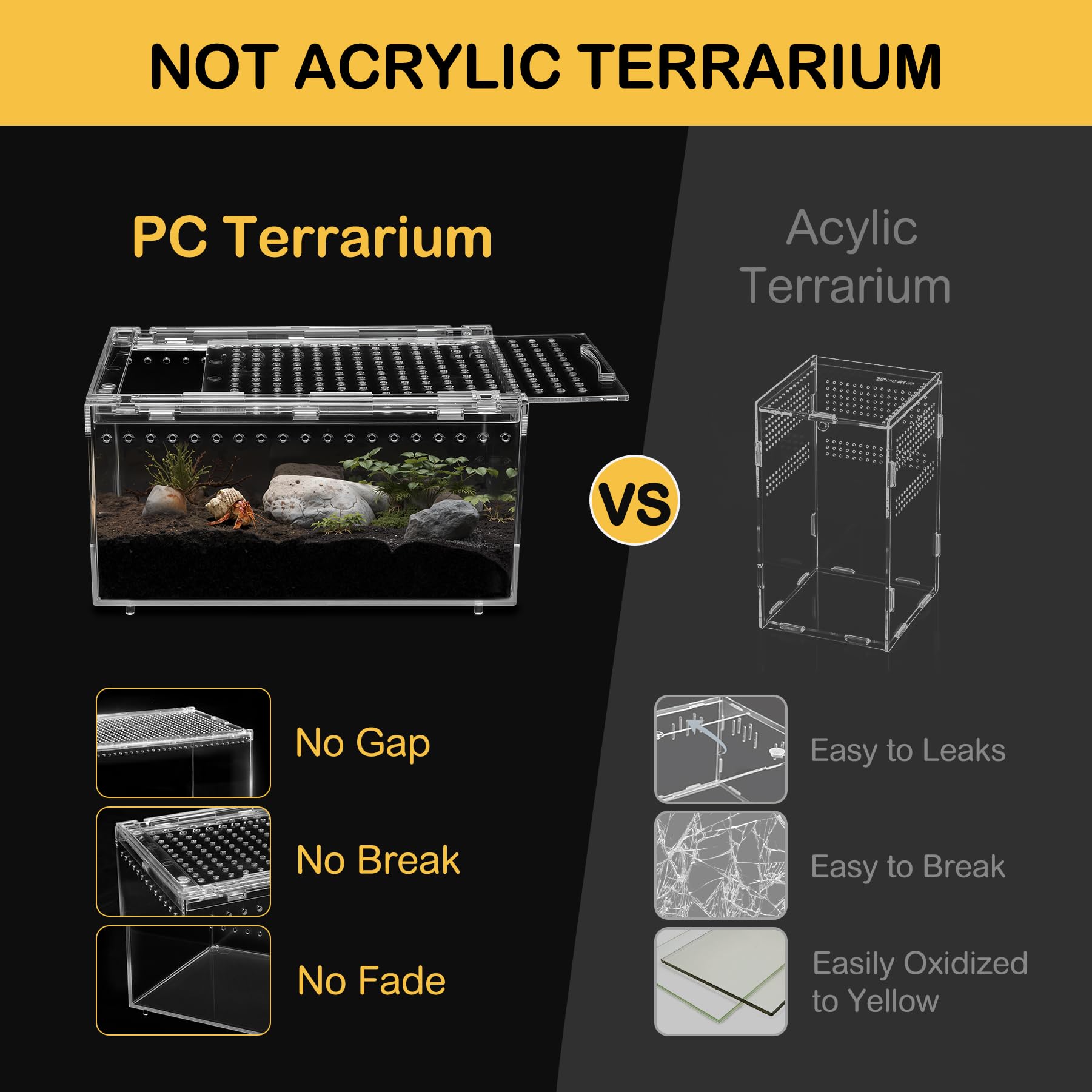 Clioran terrarium aménagé illustrant espace pour cachettes
