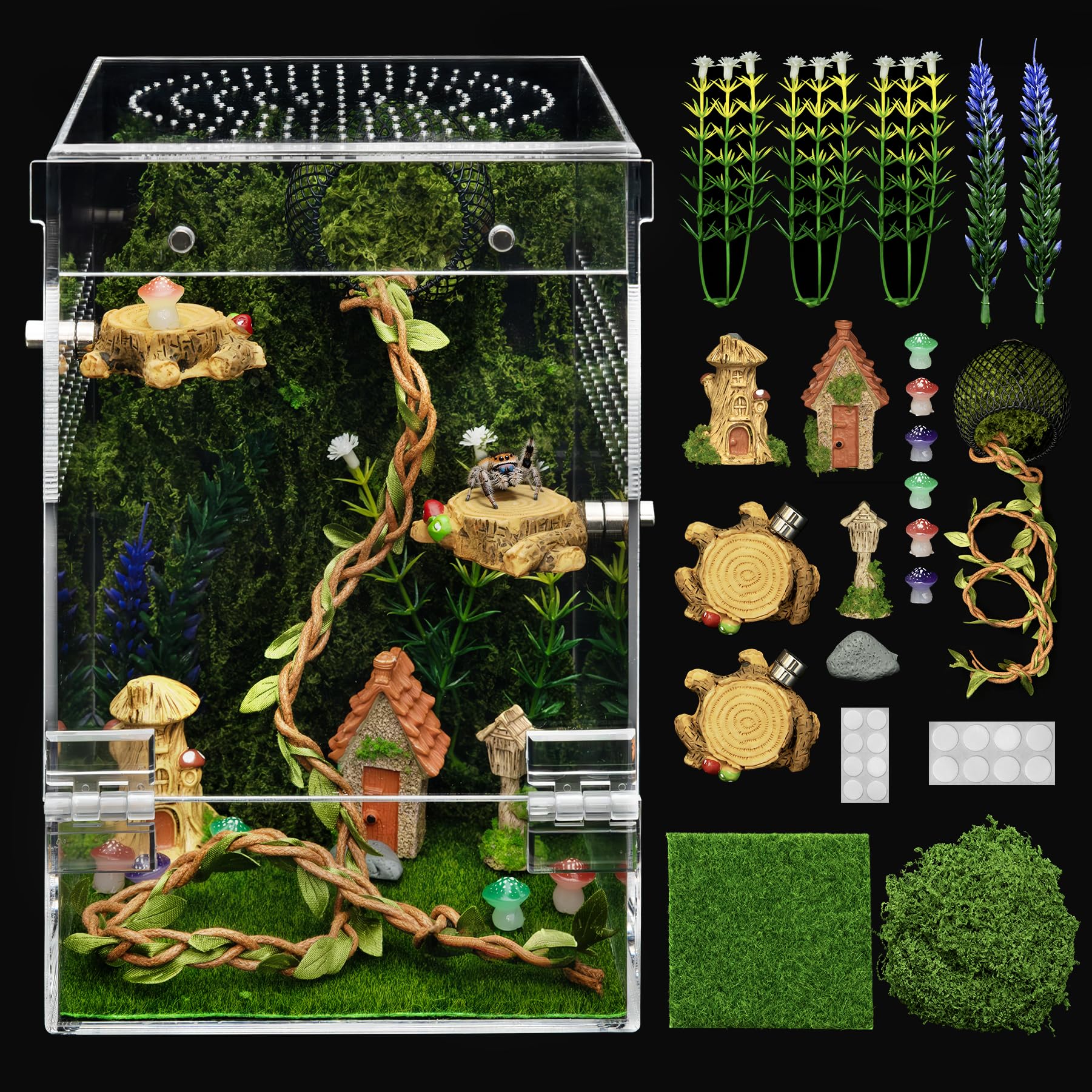 Clioran terrarium face avant offrant visibilité 360 degrés et observation facile