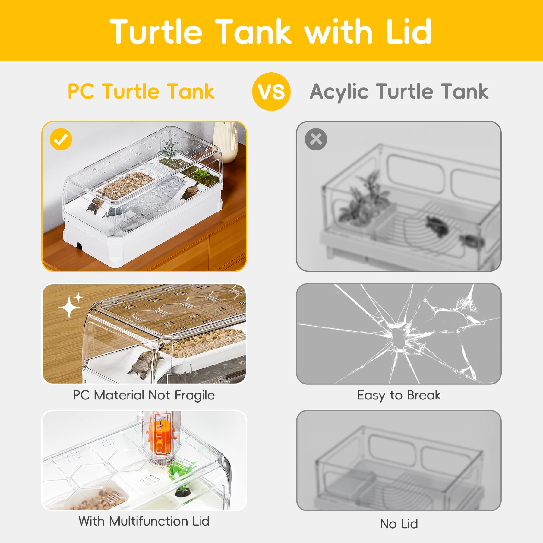 Clioran tortue nageant dans le bac illustrant comportement naturel observable