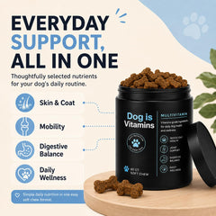 clnse texture masticable montrant douceur pour chiens difficiles