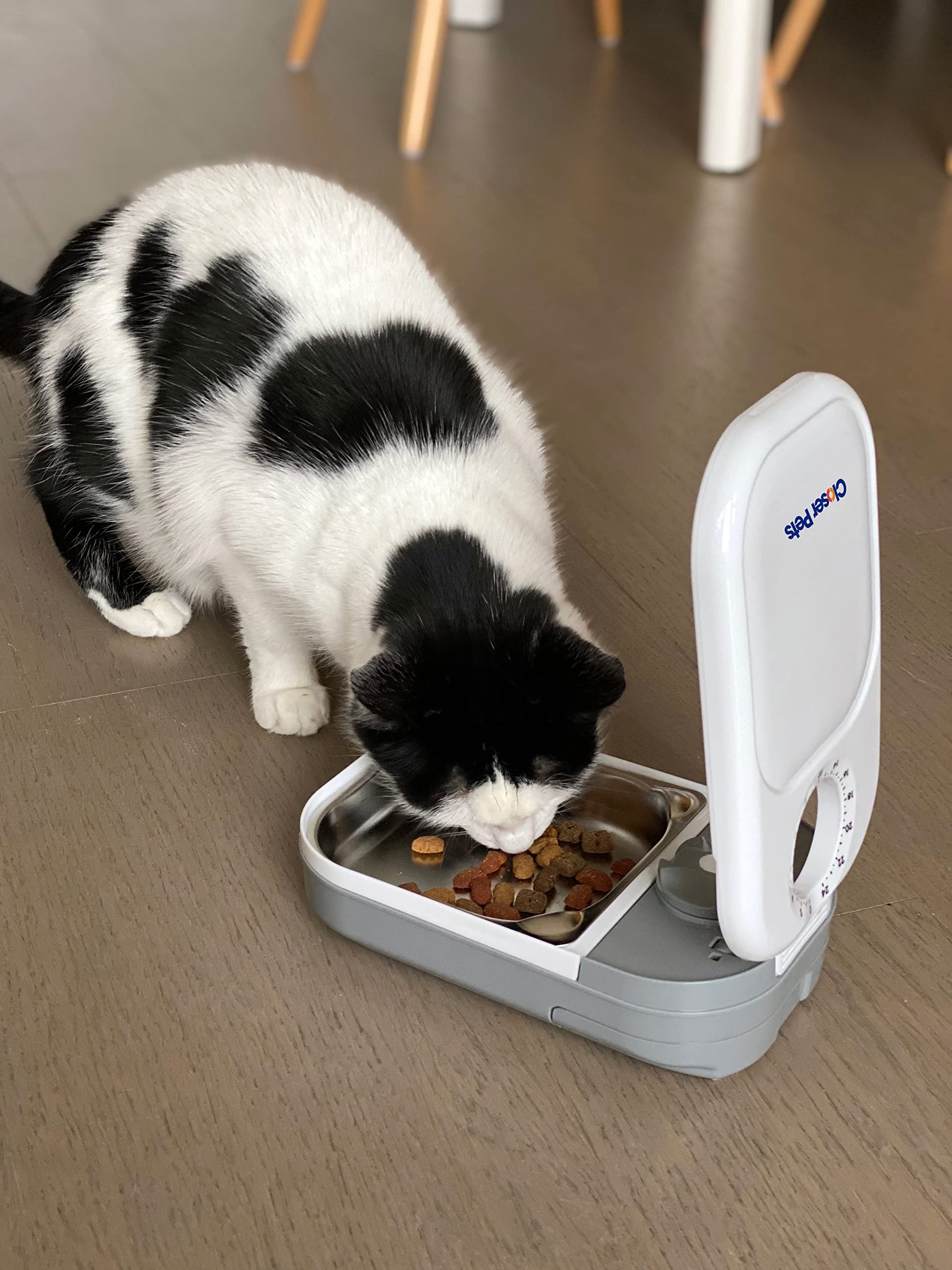 Closer Pets C100 cadran minuterie en détail, réglage simple et fiable