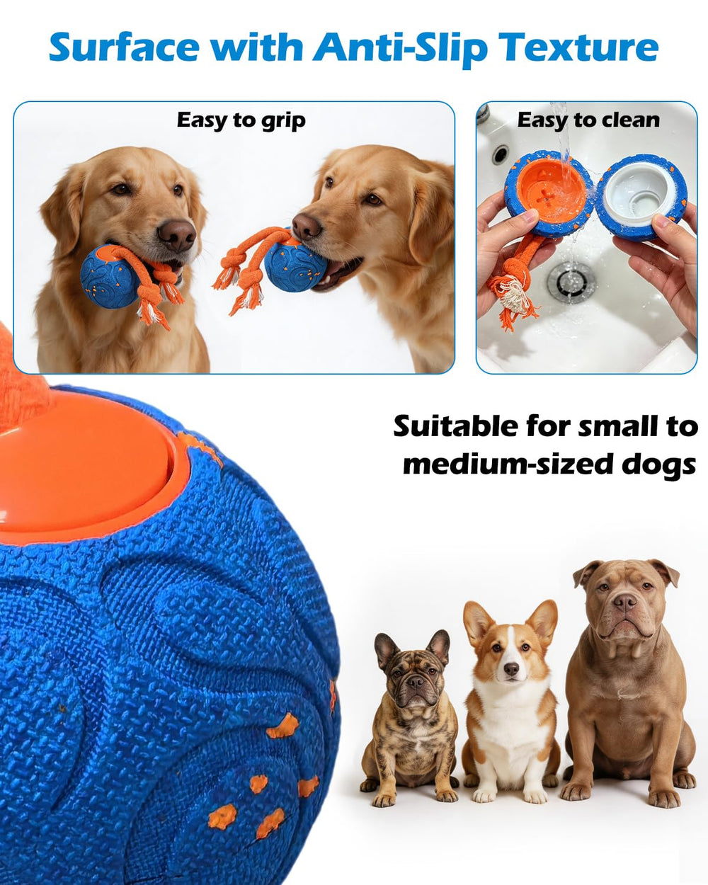 CloudValley comparaison taille avec chien montrant compatibilité toutes tailles