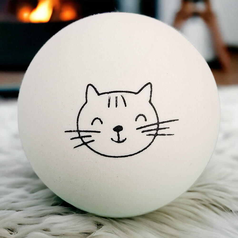 Cloverjoyed chat joue avec une balle encourageant exercice quotidien