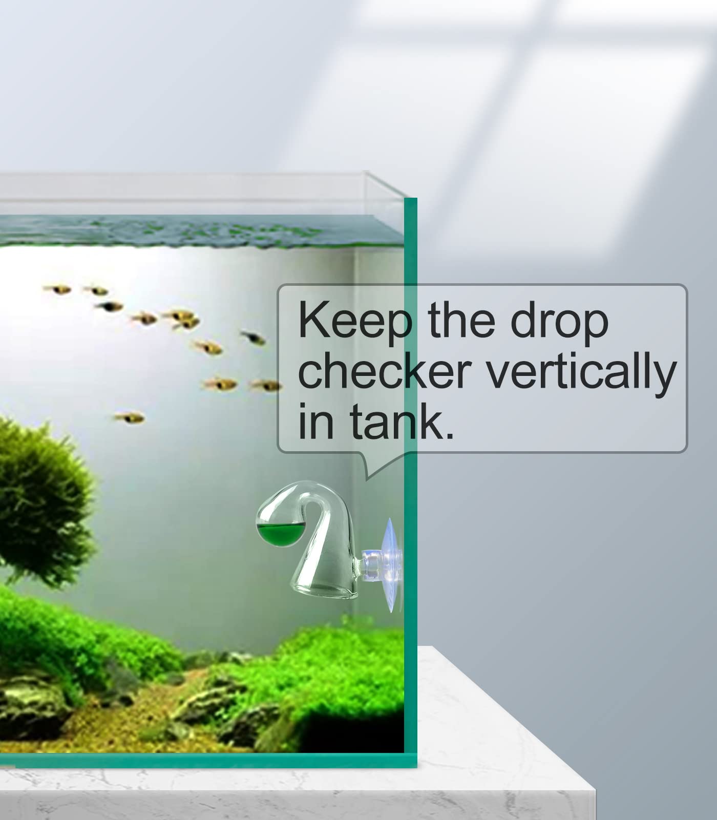 Clscea vérificateur fixé en aquarium pour contrôle discret du CO2