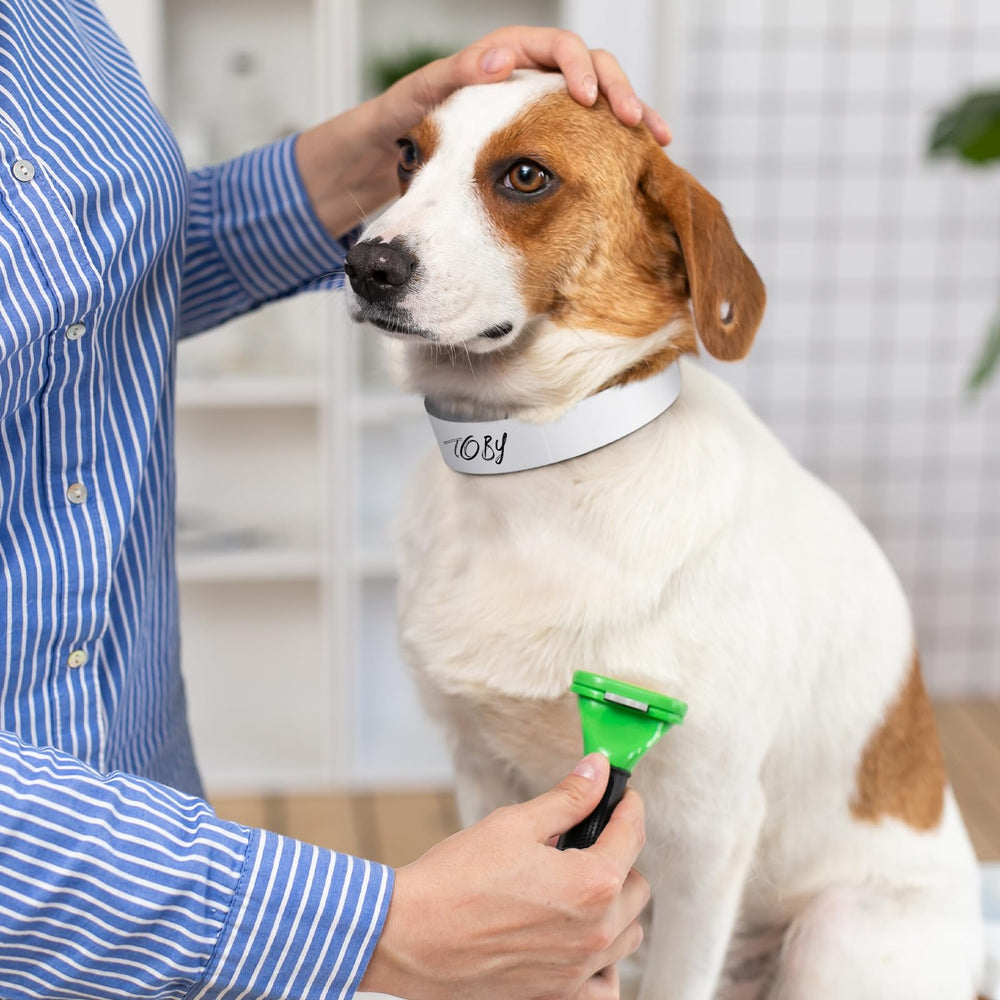 Clysee comparaison taille 50 cm pour adaptation à plusieurs animaux