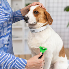 Clysee comparaison taille 50 cm pour adaptation à plusieurs animaux