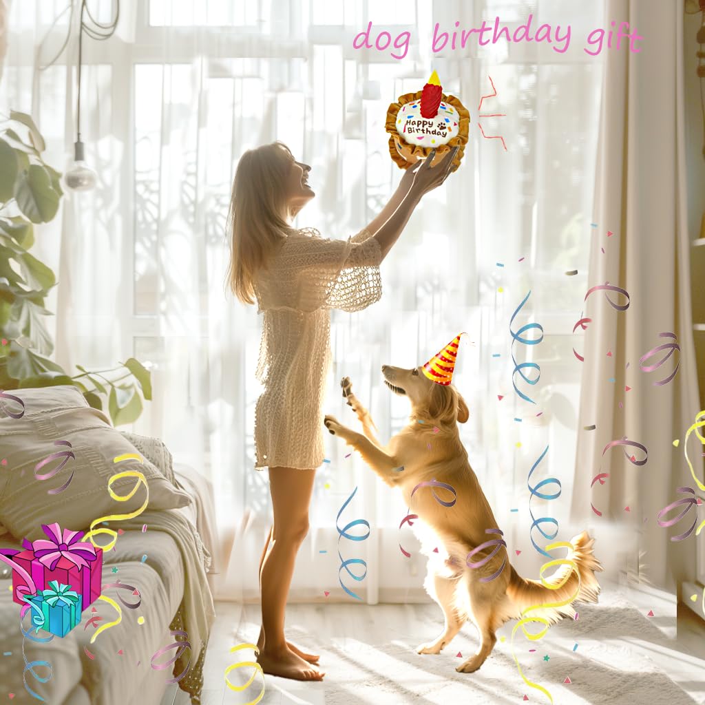 CneeeeeB mise en scène anniversaire, accessoire photo festif pour chien