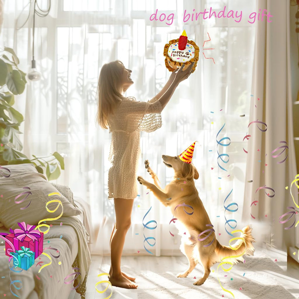 CneeeeeB mise en scène anniversaire, accessoire photo festif pour chien