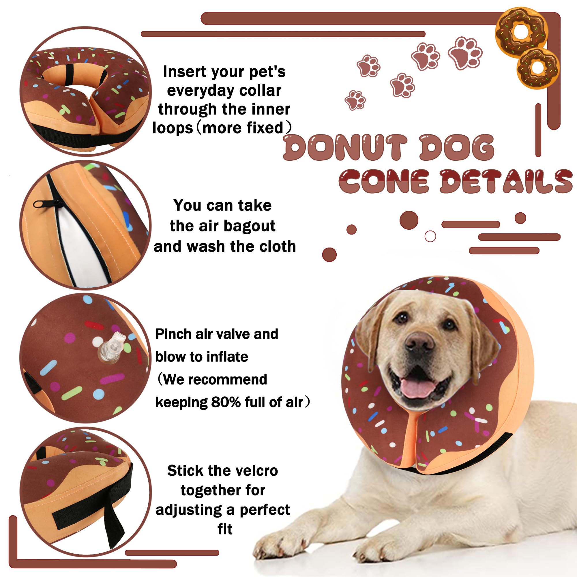 Cneo collier donut sur chien laissant vision et repas faciles
