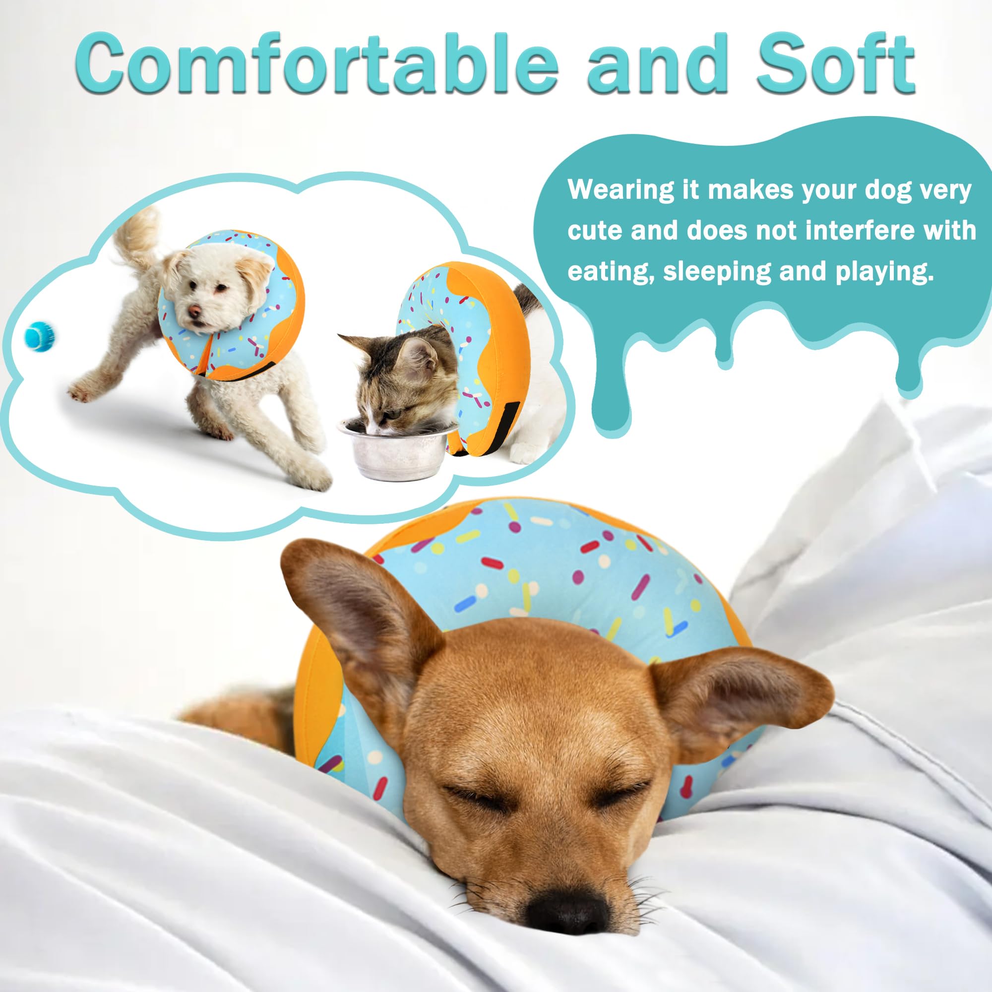 Cneo collier en usage sur chien permettant mouvement et alimentation