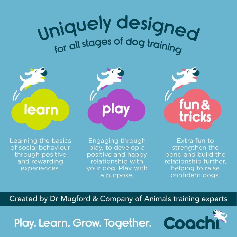 Coachi Chase & Treat chiot attrapant le jouet améliore l'engagement ludique