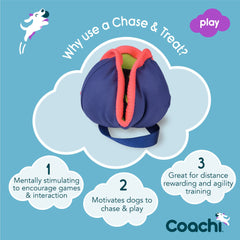 Coachi Chase & Treat gros plan matière résistante pour jeu actif sécurisé