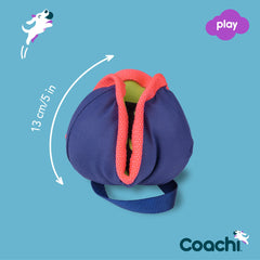 Coachi Chase & Treat lancé en action encourage la course et l'agilité
