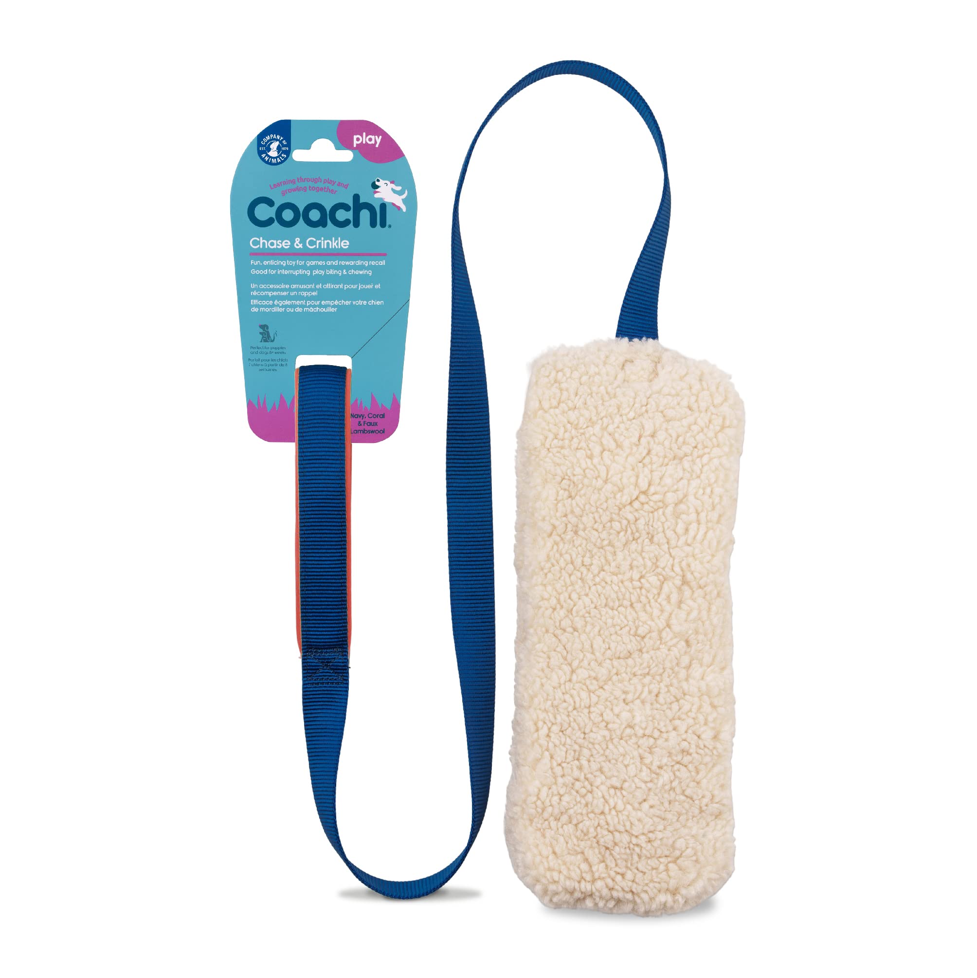 Coachi affichant le jouet avant du produit pour attirer le chien
