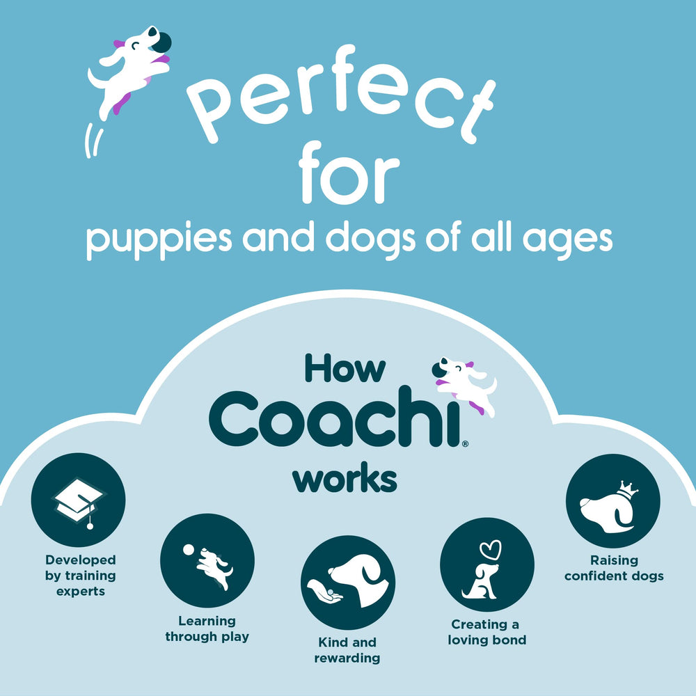 Coachi comparaison taille pour estimer adaptation à votre chien