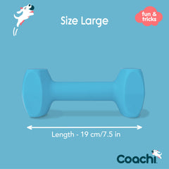 Coachi haltère pris en bouche par chien encourage prise correcte
