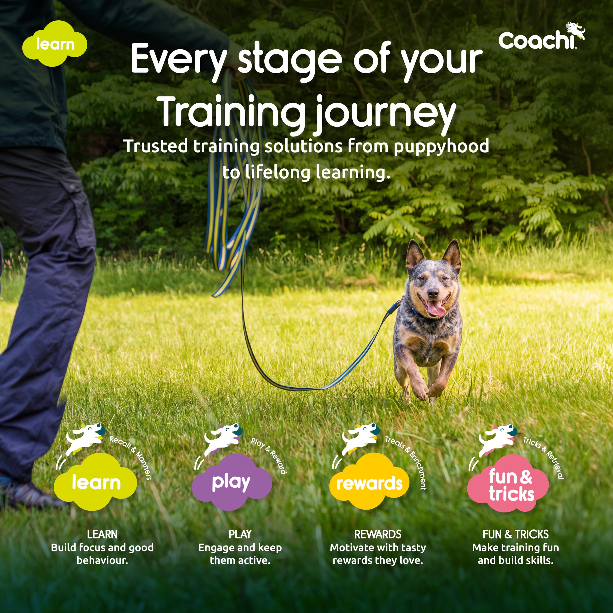 Coachi longe présentée avec friandises et sac, facilite récompense immédiate