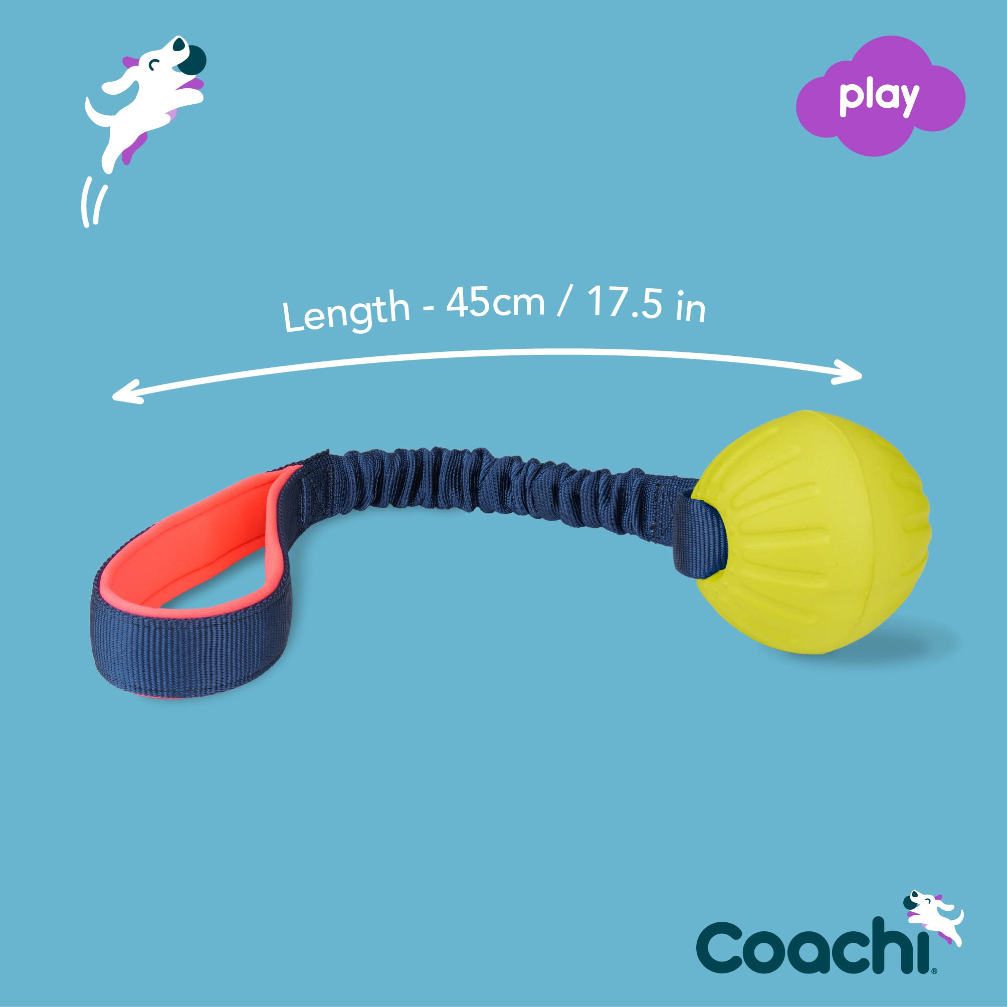 Coachi Tuggi Ball chien en jeu améliore rappel et motivation