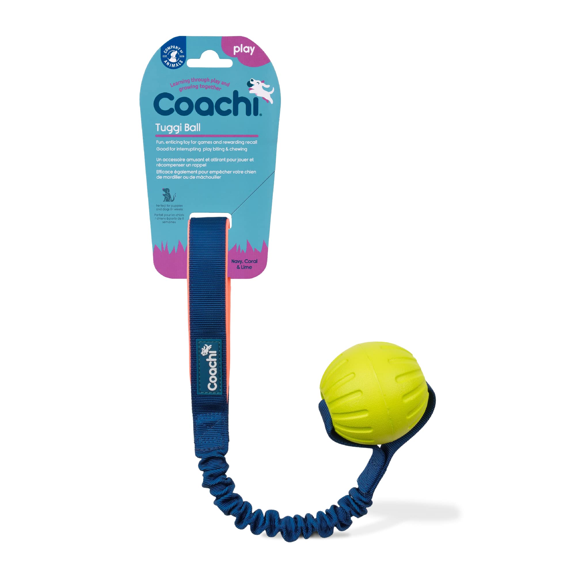 Coachi Tuggi Ball face avant montrant la conception robuste et sûre