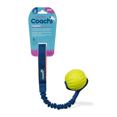 Coachi Tuggi Ball face avant montrant la conception robuste et sûre