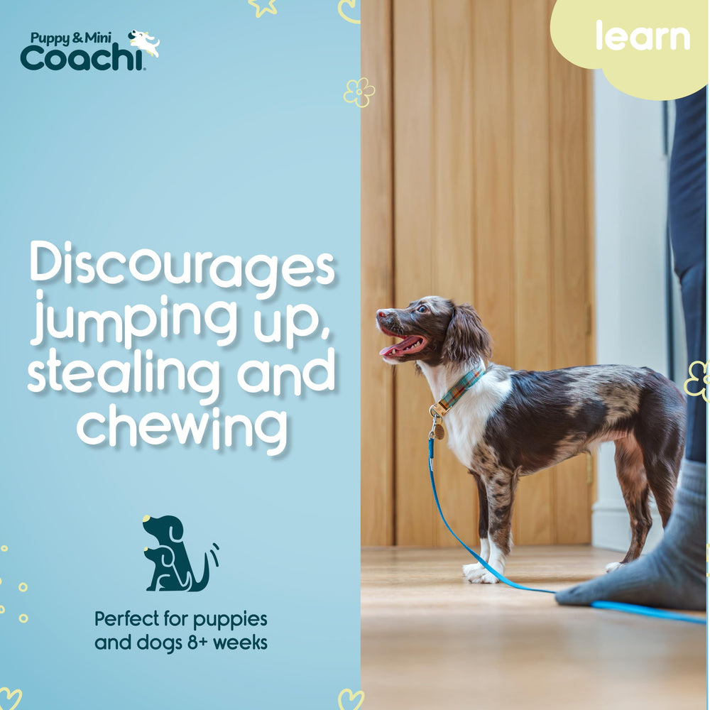 Coachi webbing doux en gros plan montrant confort et légèreté