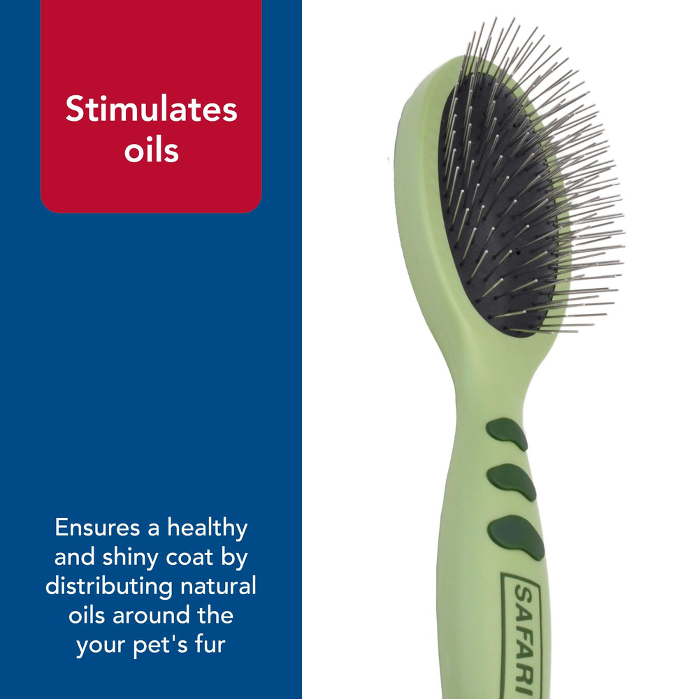 Coastal brosse comparaison de taille portable facile à ranger