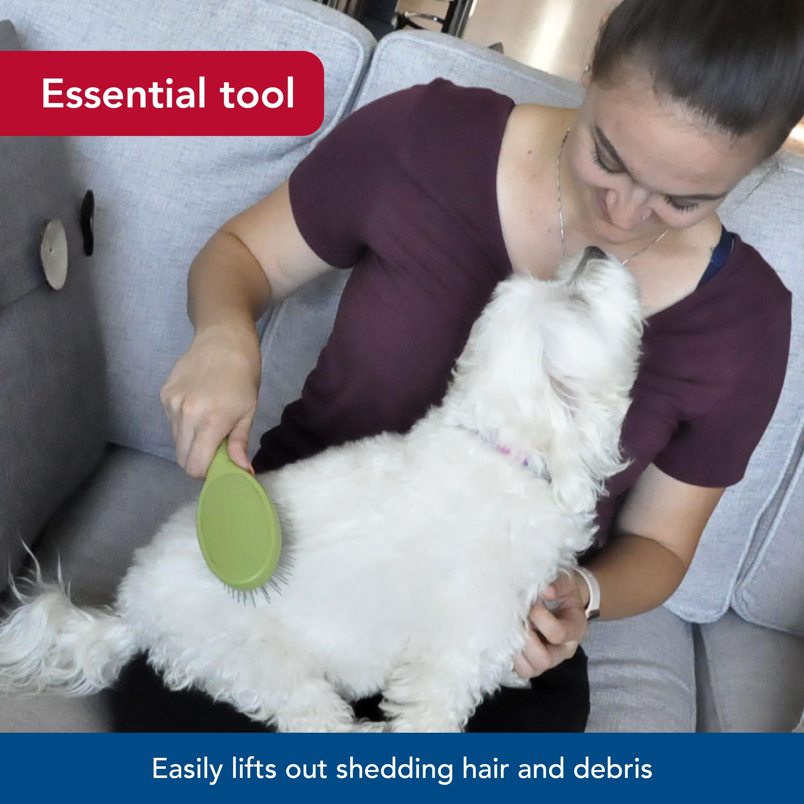 Coastal brosse en usage sur chien démontrant retrait des poils morts