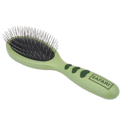 Coastal brosse face avant montrant la surface de picots pour éliminer poils