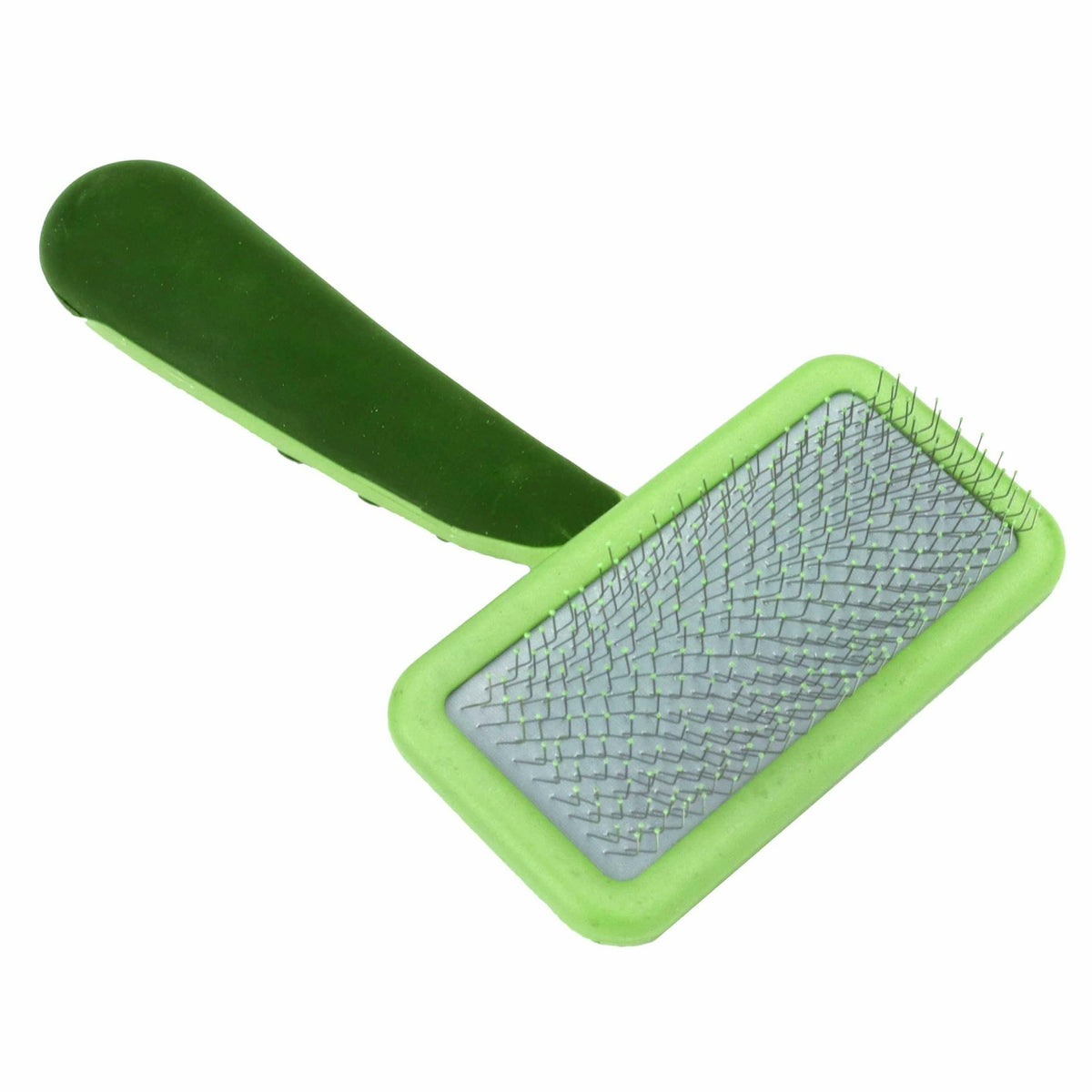 Coastal brosse slicker face avant montrant un design compact et pratique