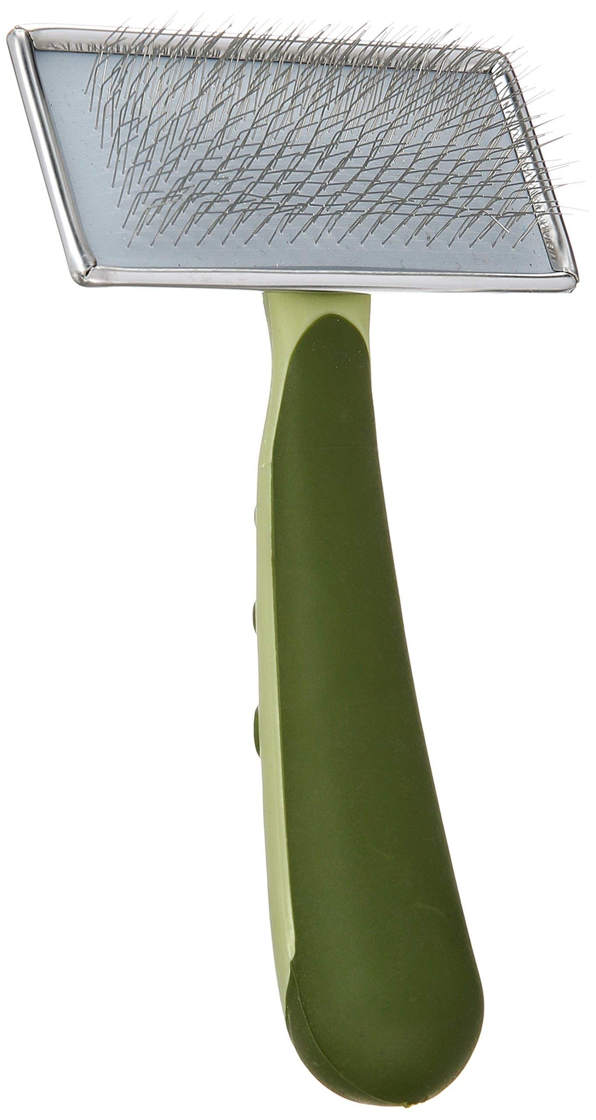 Coastal brosse face montrant design compact et efficacité de toilettage