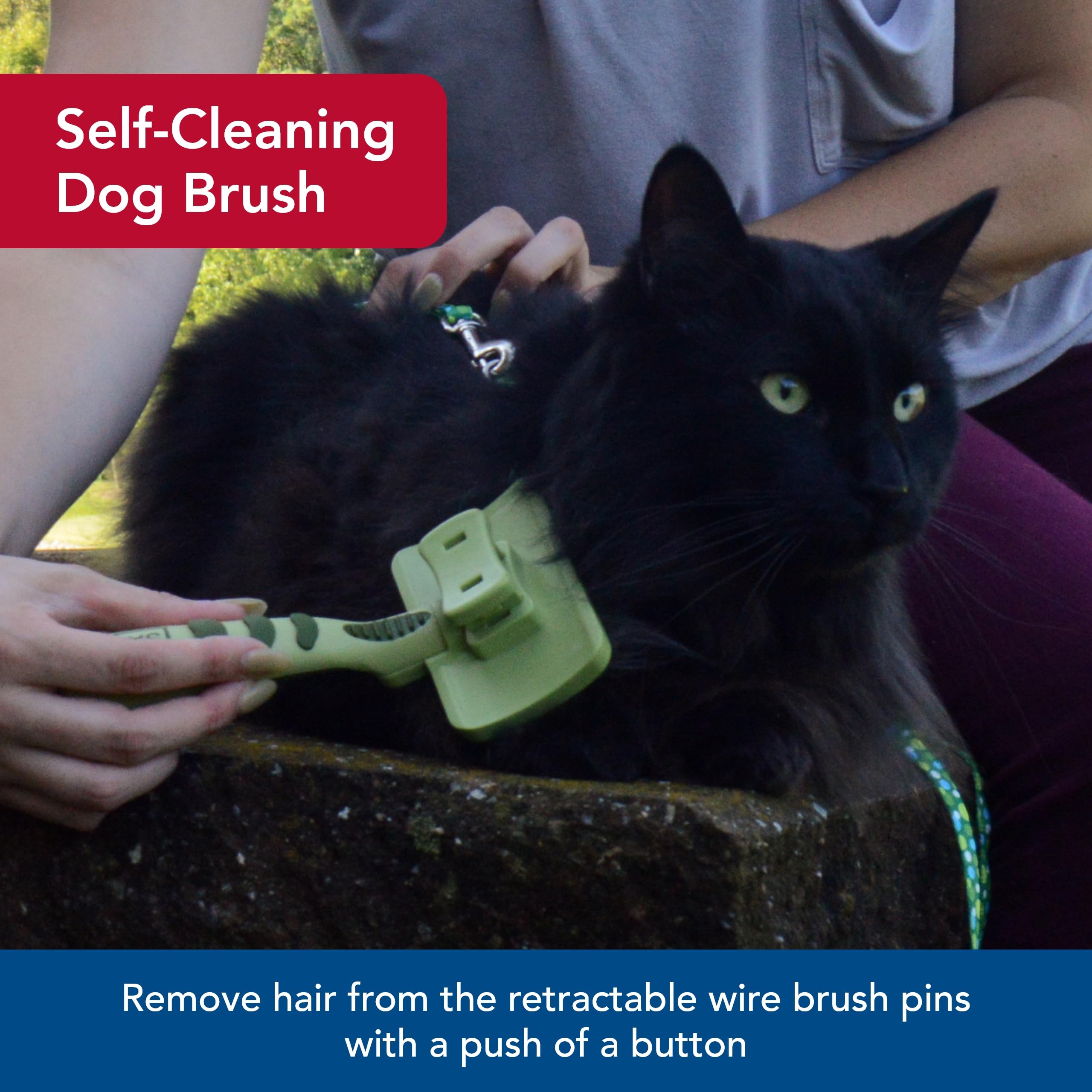 Coastal brosse en action sur chat réduisant les poils et soulageant le pelage