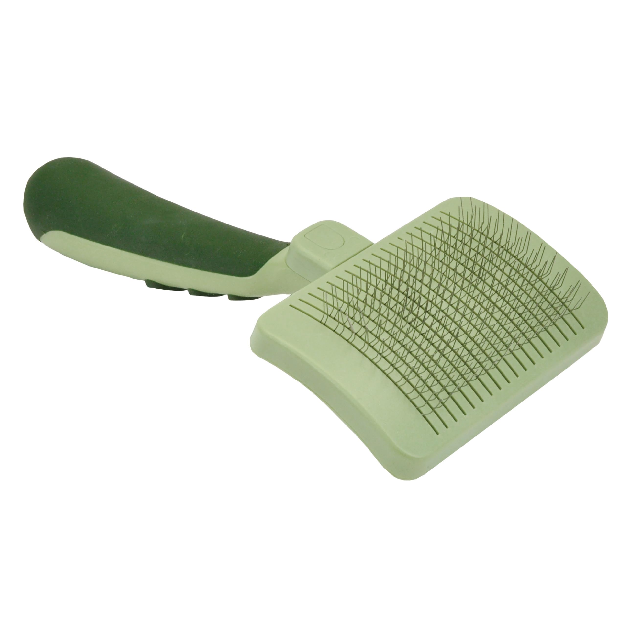 Coastal brosse face avant montrant design compact et rangement facile