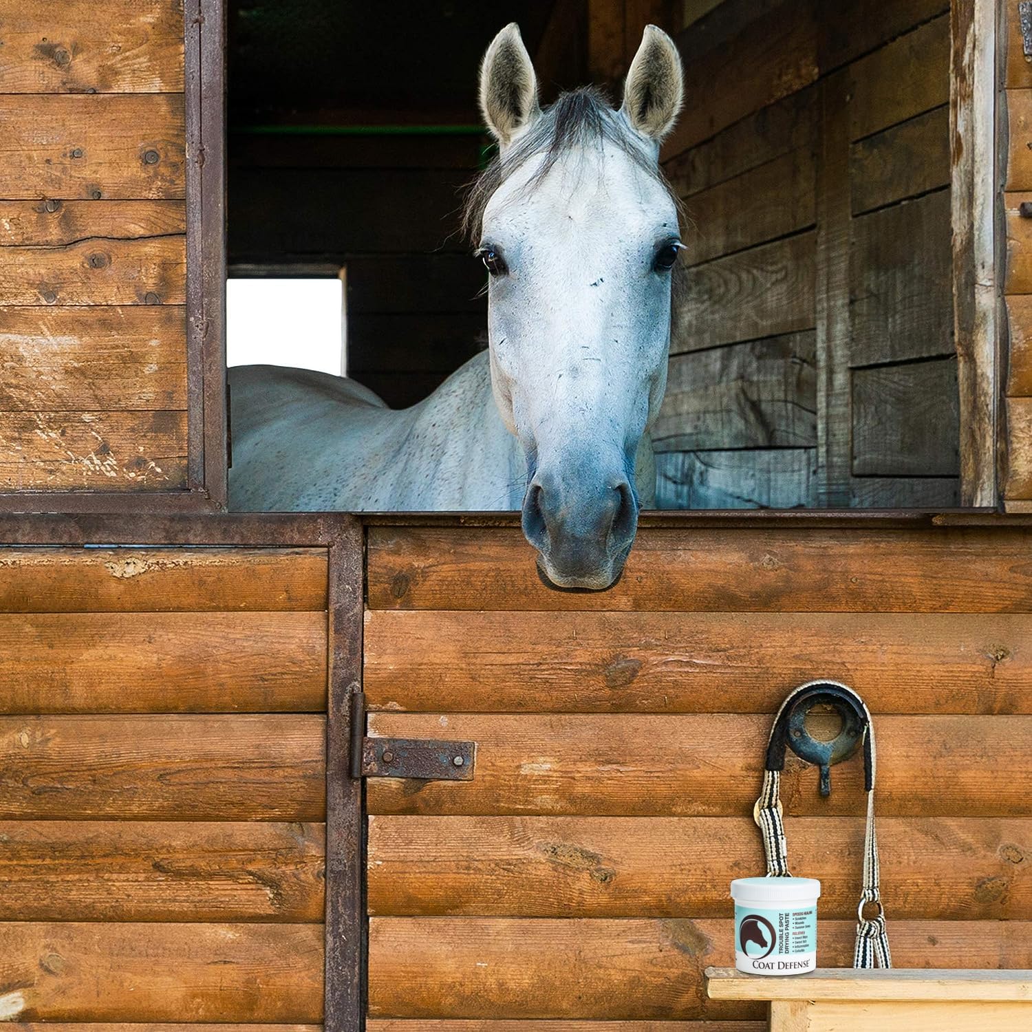 COAT DEFENSE cheval en paddock avec protection contre insectes et saleté