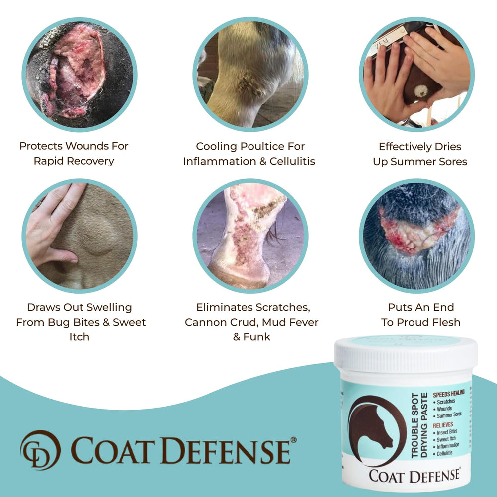 COAT DEFENSE gros plan texture pâte sèche montrant facilité d'application