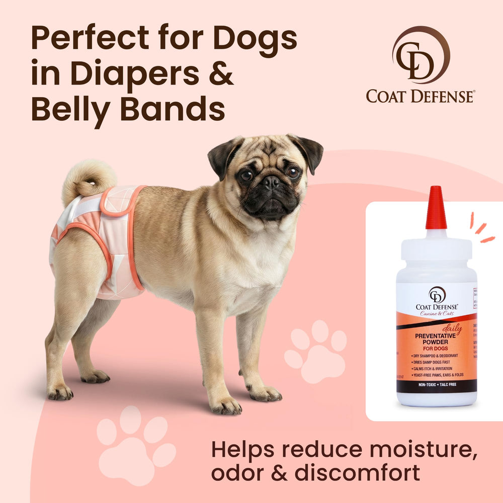 COAT DEFENSE chien à l'extérieur après application, pelage frais et propre