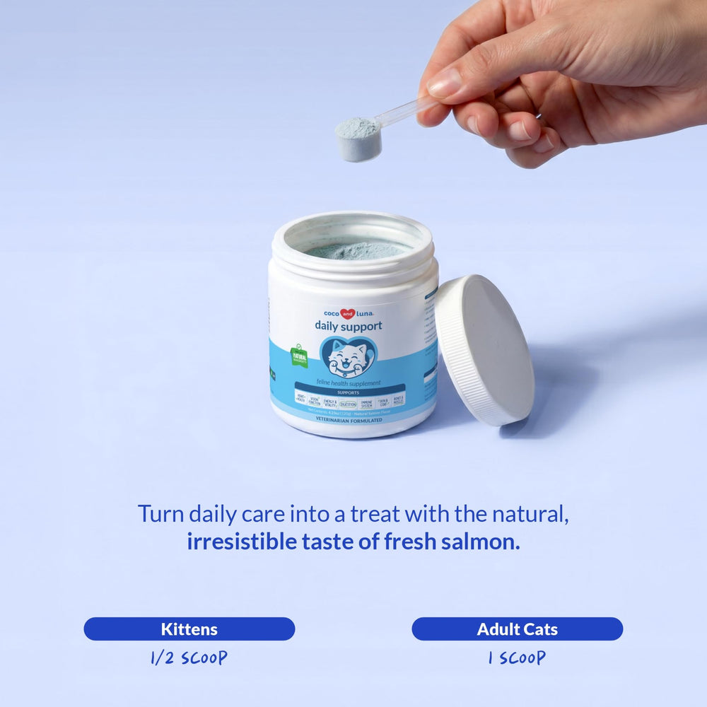 Coco and Luna pot à côté d'une main pour comparer l'échelle et visualiser la quantité