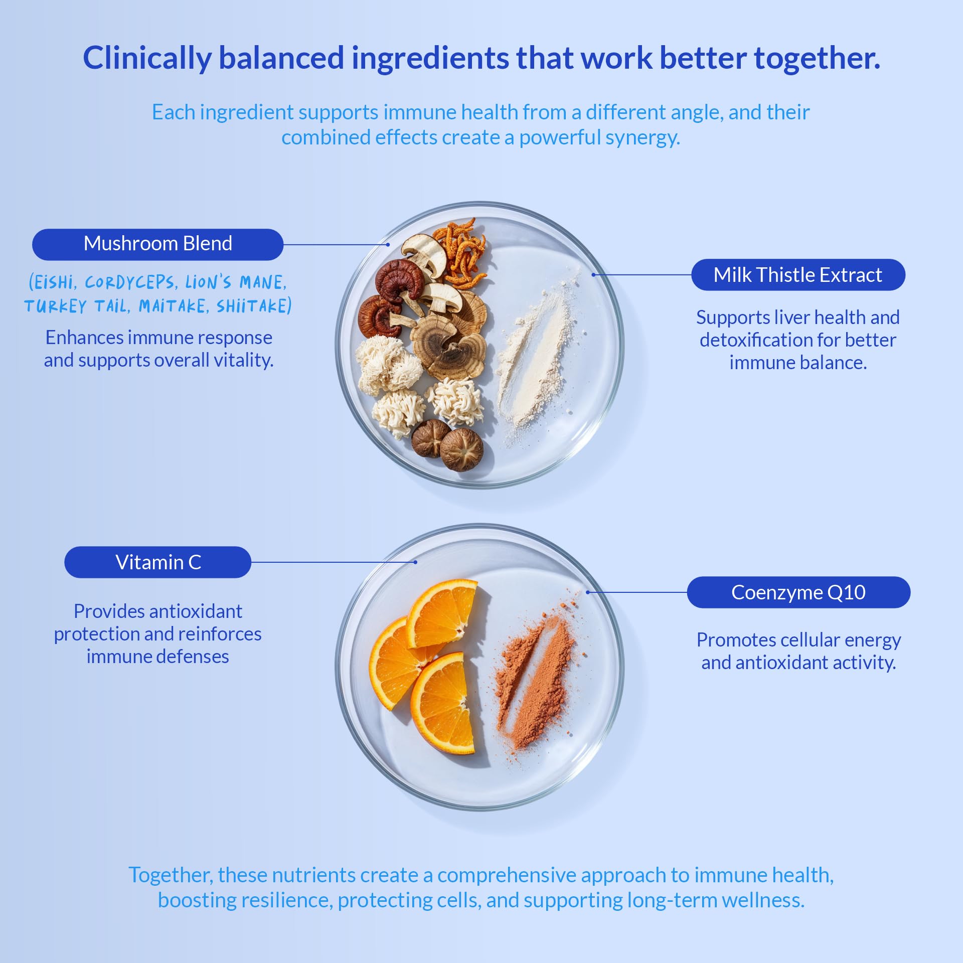 Coco and Luna comparaison taille montrant quantité et portionnement pratique