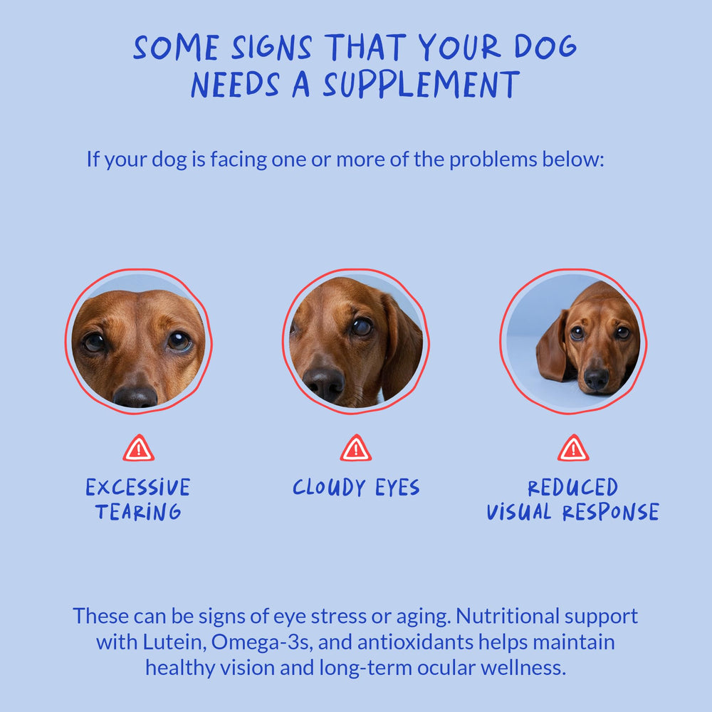 Coco and Luna comparaison taille capsule pour dosage précis et pratique