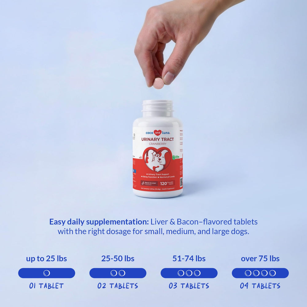 Coco and Luna comprimés disposés dans un bol, préparation de la dose quotidienne