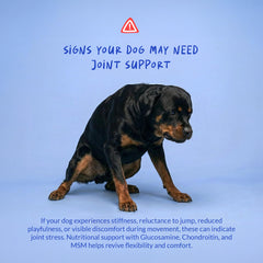 Coco and Luna produit en utilisation chien mange pour administration aisée