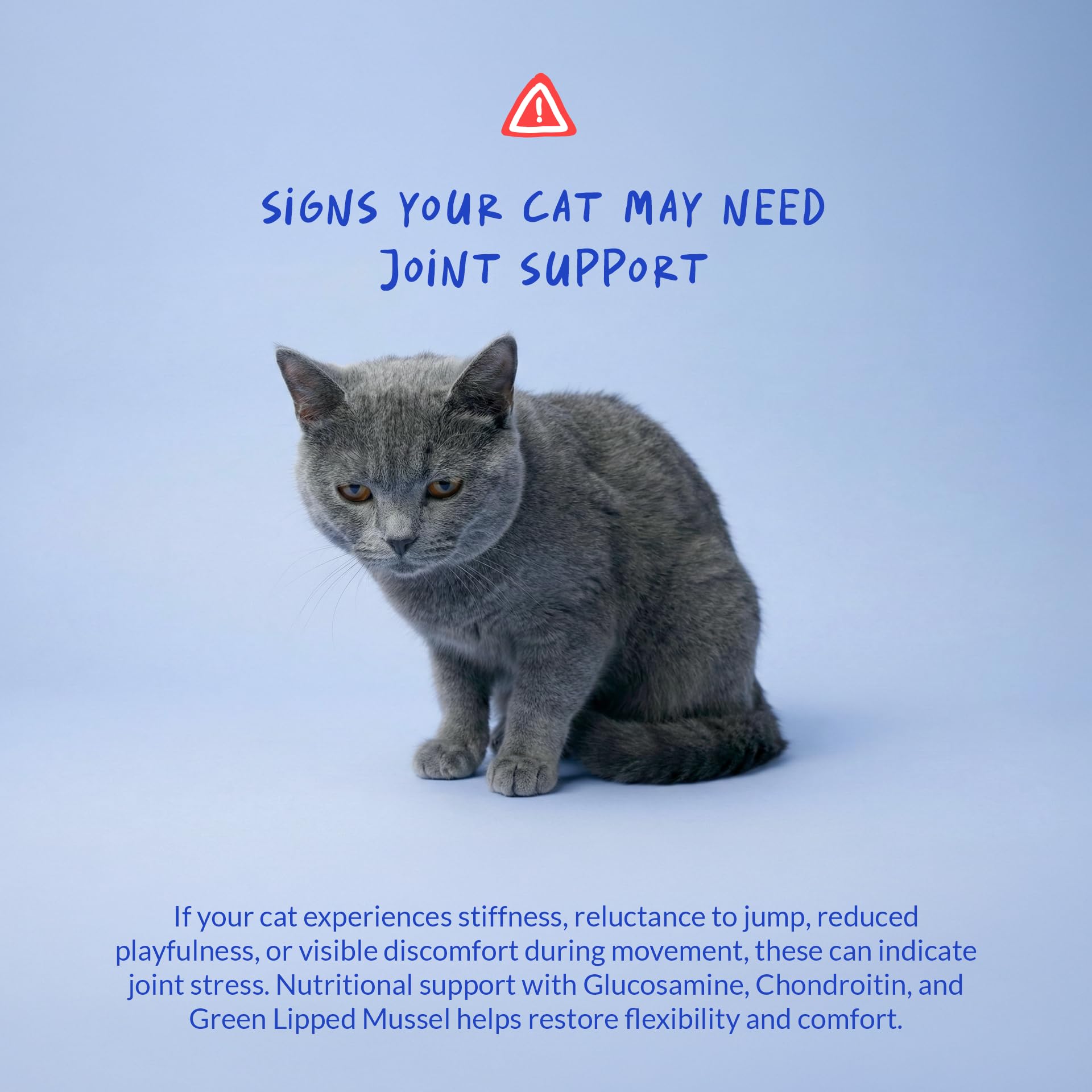 Coco and Luna poudre incorporée aux croquettes pour acceptation facile