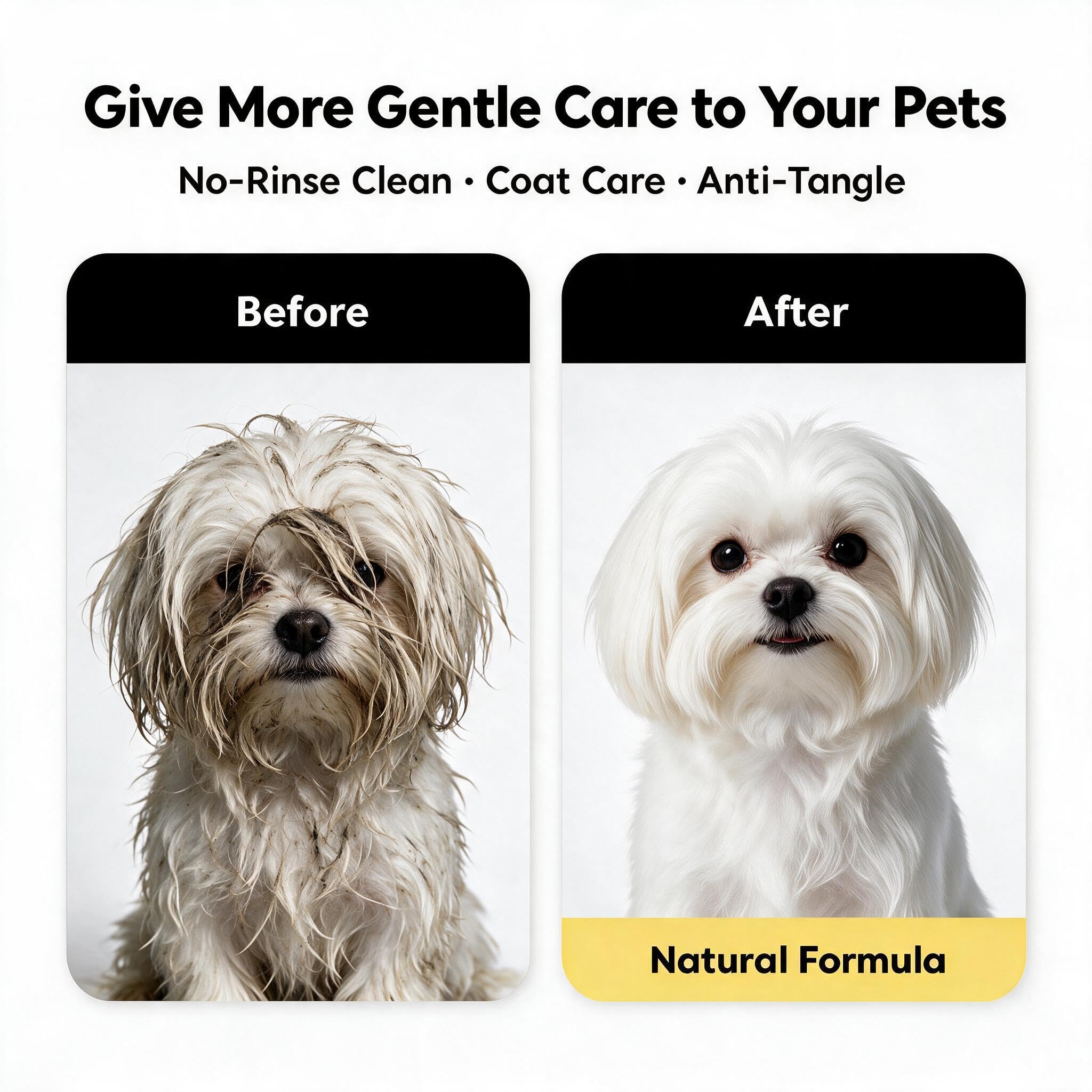 Propriétaire vaporisant Coconut Care sur chien pour hydrater et faciliter le brossage