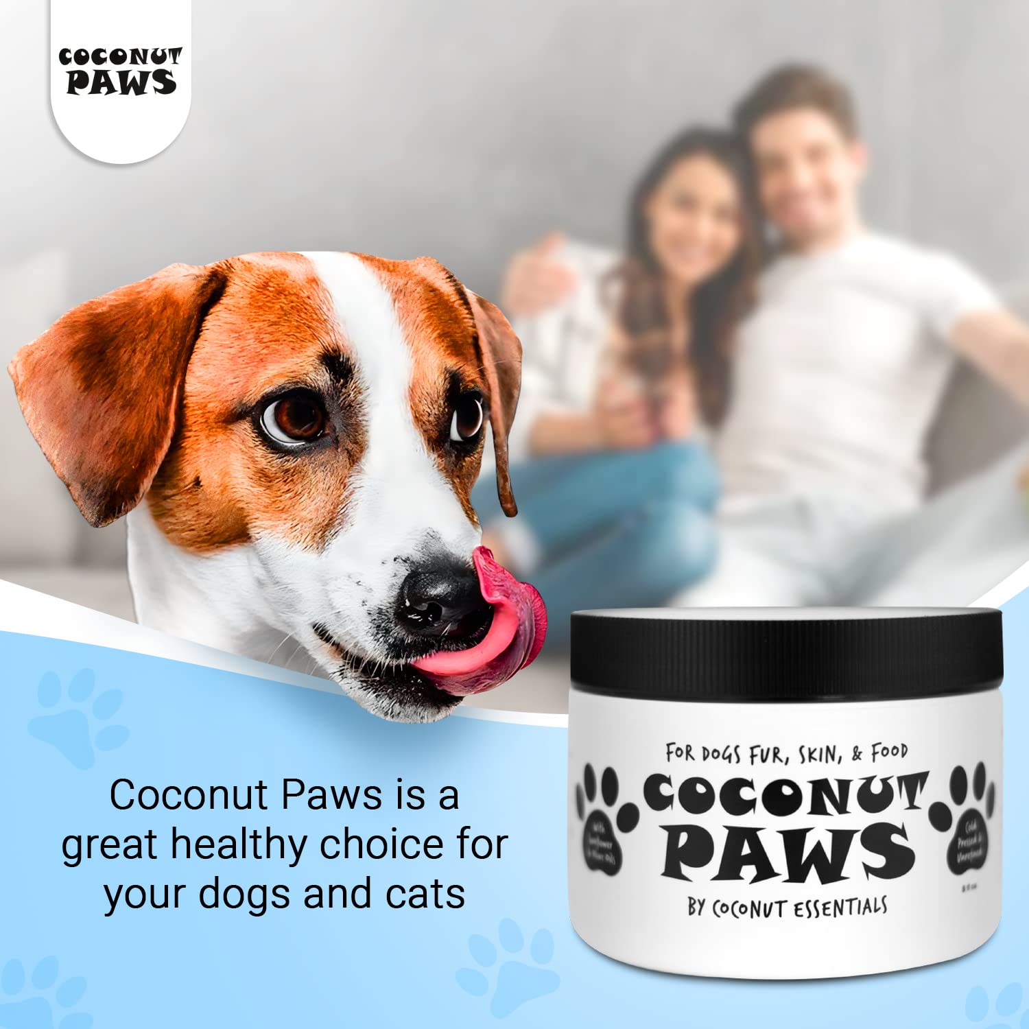 Coconut Essentials chien au pelage brillant montrant brillance renforcée