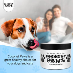 Coconut Essentials chien au pelage brillant montrant brillance renforcée
