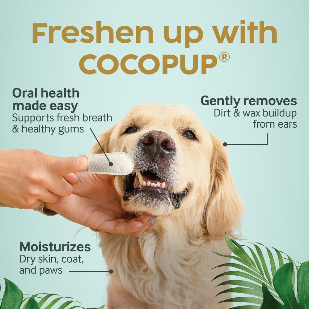 Cocopup paquet ouvert avec lingettes prêtes à l'emploi pour déplacements
