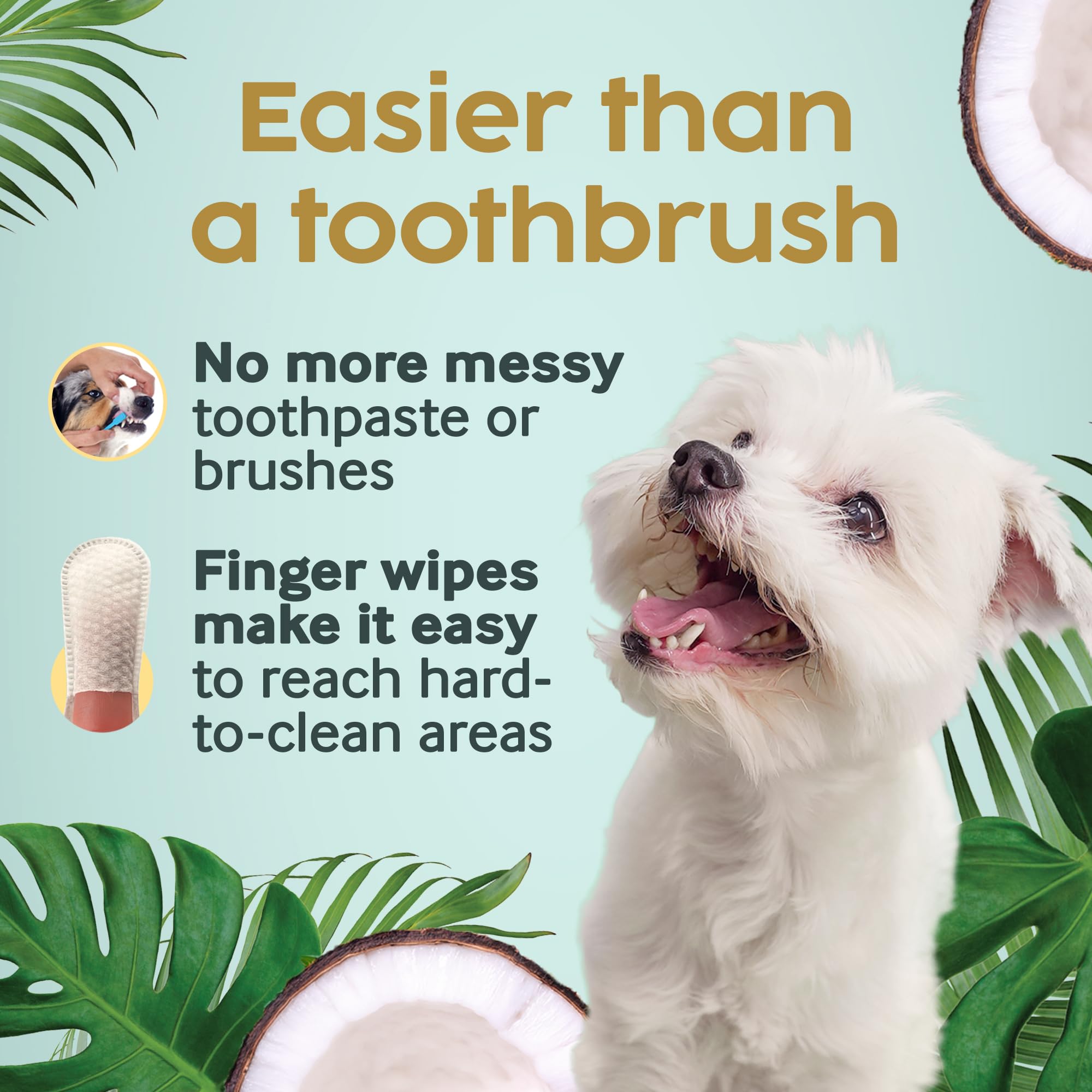 Application sur dents avec doigtier Cocopup, nettoyage précis et sans brosse