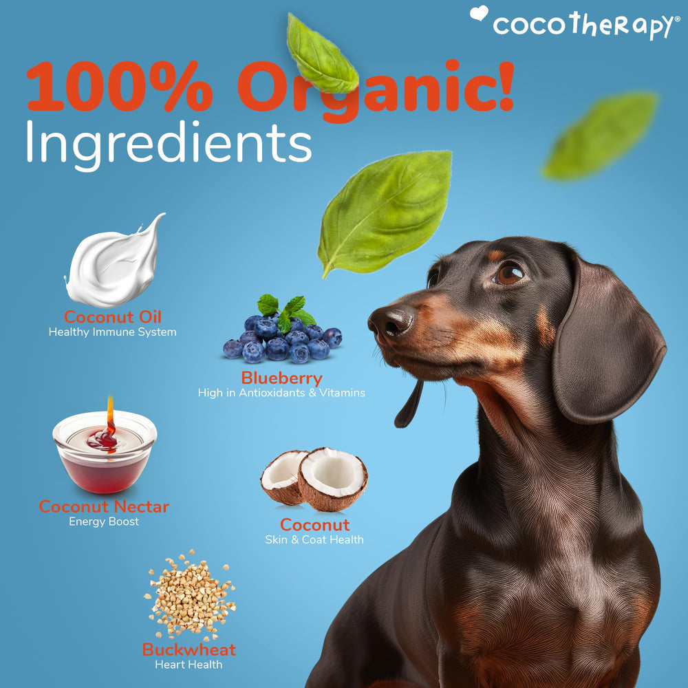 CocoTherapy friandise en main montrant petite taille et contrôle calorique