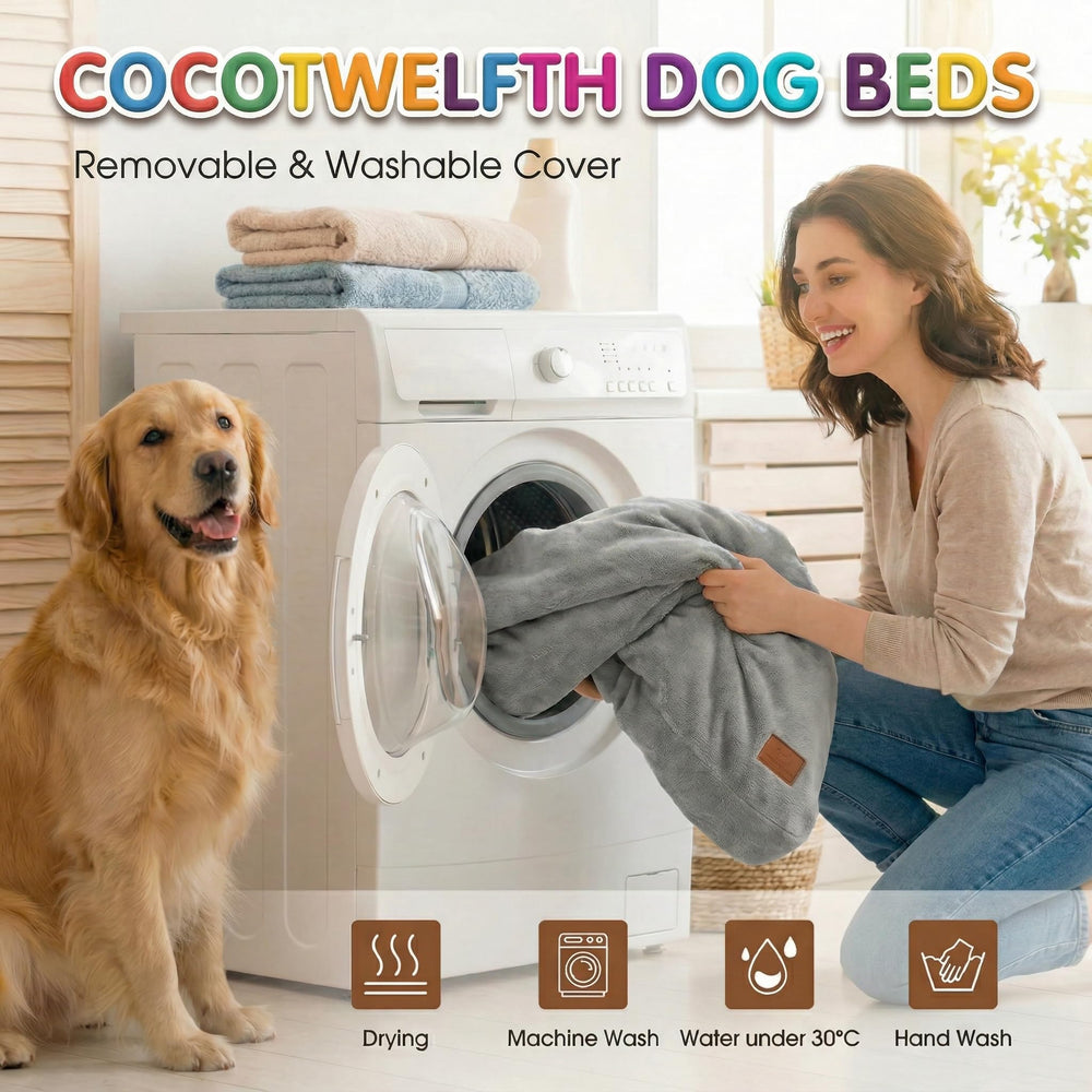 COCOTWELFTH chien allongé sur lit exemple d'utilisation confortable